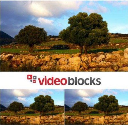 دانلود فوتیج زیبای طبیعت از شرکت VideoBlock