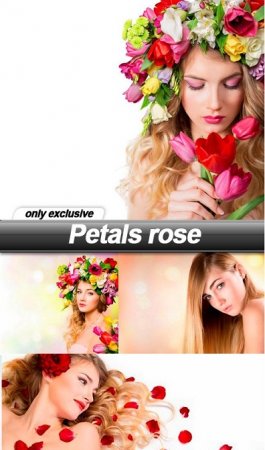 دانلود مجموعه عکس های استوک-Petals rose
