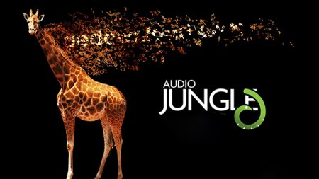 دانلود مجموعه عظیم افکت ها و آهنگ های آماده صوتی AudioJungle