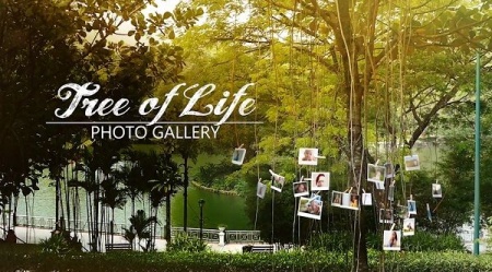 پروژه افتر افکت گالری عکس Tree of Life