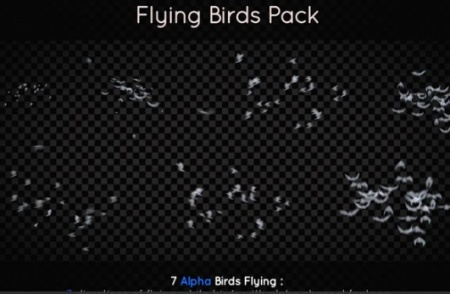 دانلود فوتیج آماده پرواز پرندگان Fliying Birds Pack