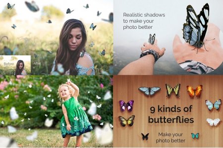 دانلود طرح آماده پروانه ترنسپرنت-Butterflies Photoshop Overlays