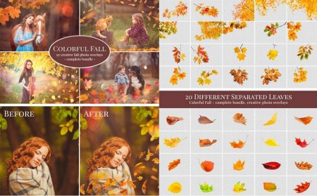 مجموعه برگ های پاییزی ترنسپرنت مخصوص طراحی عکس های شما