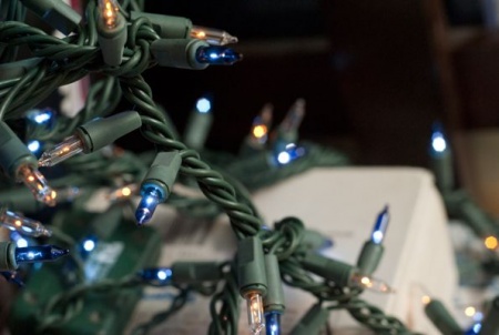 آموزش تکنیک بوکه در عکاسی2