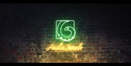 پروژه نمایش لوگو افتر افکت neon