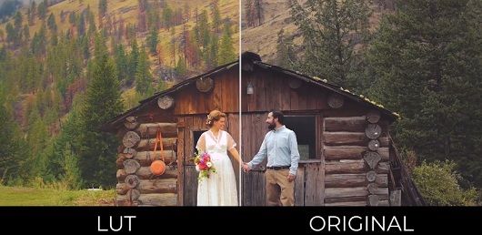 دانلود پریست رنگی برای پریمیر  Wedding LUTs