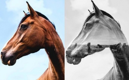 آموزش فتوشاپ Double Exposure