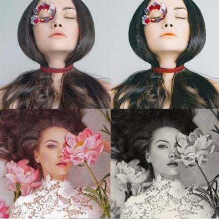 پریست پرتره لایت روم