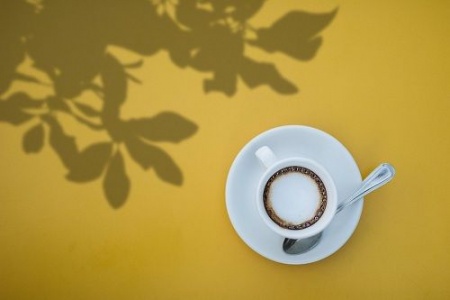 افکت سایه درختان برای ادیت عکس