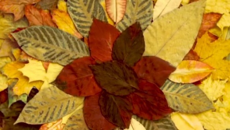 دانلود فوتیج آماده برگ های پاییز Autumn Leaf Pattern