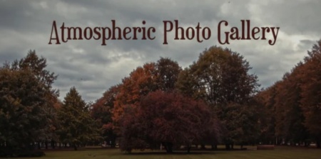 دانلود پروژه پریمیر گالری عکس Atmospheric Photo Gallery 4K