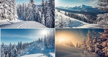 عکس زمستان با کیفیت بالا