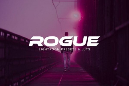 پریست رنگی لایت روم rogue
