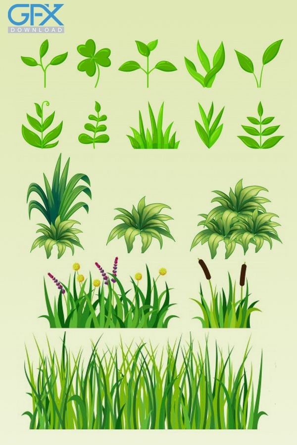 وکتور سبزه زیبا