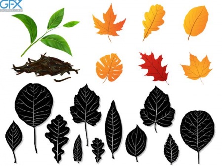 وکتور برگ در رنگ های متفاوت