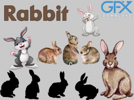 11 وکتور خرگوش فانتزی و کارتونی زیبا Rabbit