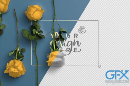 دانلود بک گراند لایه باز گل رز زرد
