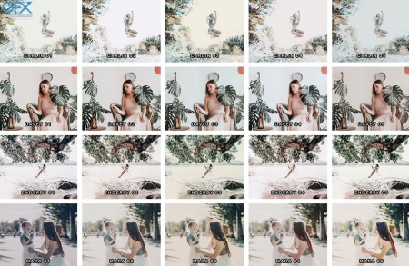 دانلود رایگان پریست حرفه ای لایت روم palm white