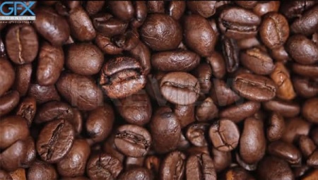 دانلود فوتیج نمای نزدیک دانه های قهوه