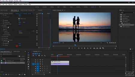 فیلم آموزش ایجاد افکت انعکاس آب در تدوین فیلم با پریمیر