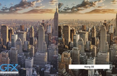 20 پریست لایت روم تنظیم رنگ عکس