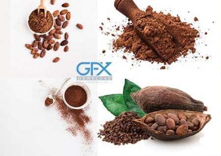 دانلود تصویر دانه های کاکائو