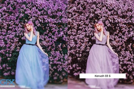 دانلود مجموعه پریست های رنگی پریمیر و lut