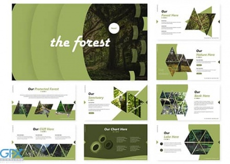 تم پاورپوینت جنگل