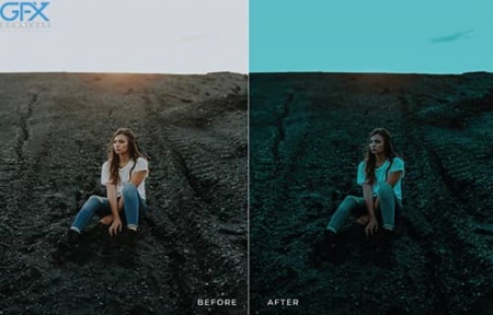 دانلود 20  پریست لایت روم دسکتاپ و موبایل Widyia