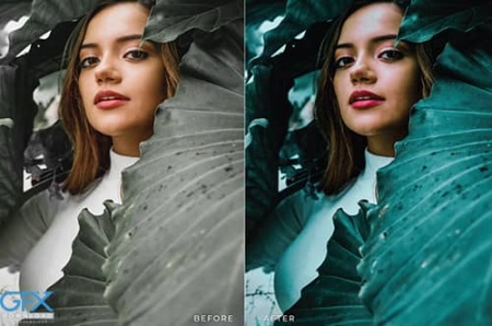 پریست لایت روم دسکتاپ و موبایل Widyia