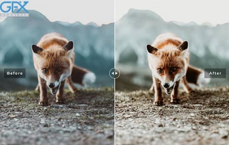 دانلود پریست لایت روم حیوانات و حیات وحش Wildlife