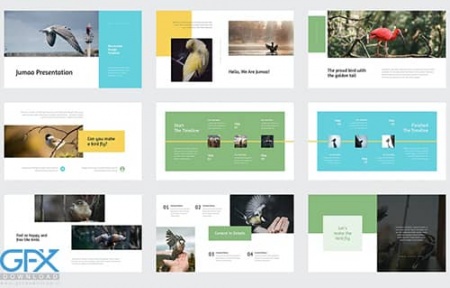 تم پاورپوینت پرندگان Jumao