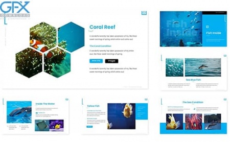 دانلود تم پاورپوینت برای ماهی