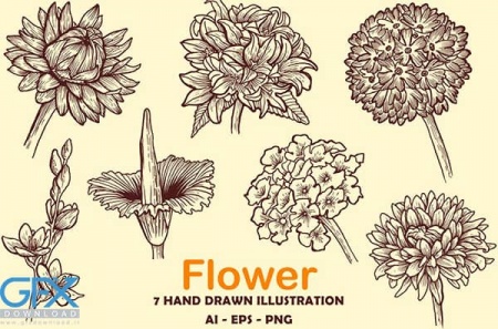 وکتور گل های طراحی با دست
