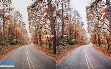 اکشن فتوشاپ رایگان Roadside