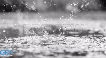 دانلود فوتیج قطرات باران Rain Drops