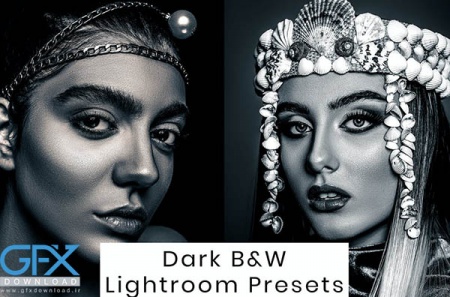 10 پریست لایت روم سیاه و سفید B&W