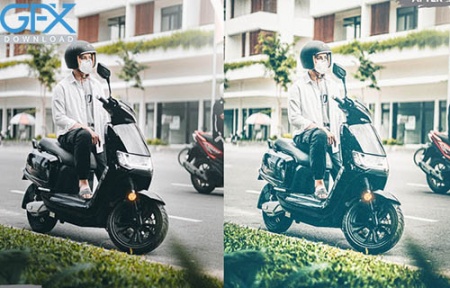 دانلود پریست های لایت روم Erdina