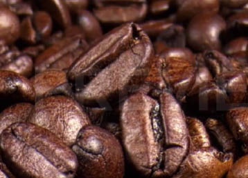 دانلود فوتیج کلوزاپ دانه های قهوه