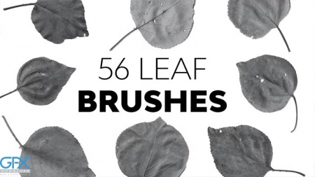 دانلود براش های برگ Leaf Brushes