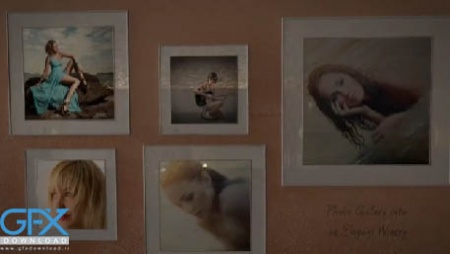 پروژه آماده افتر افکت گالری عکس Elegant Winery