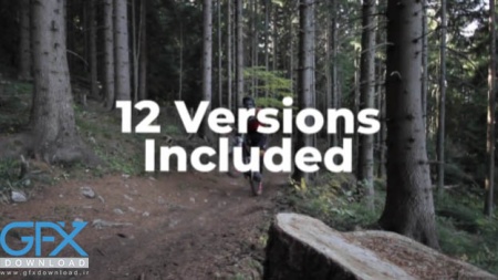 12 ترانزیشن پریمیر Dynamic Transitions