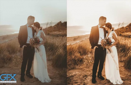 دانلود پریست لایت روم عروسی Boho Wedding