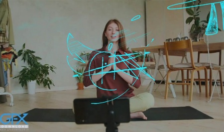 دانلود پروژه افتر افکت لوگو Sketch Dragonfly Logo