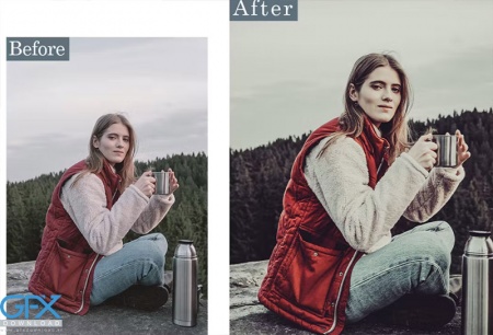 پریست آماده لایت روم برنزه Bronze