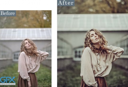 پریست لایت روم برنزه Bronze