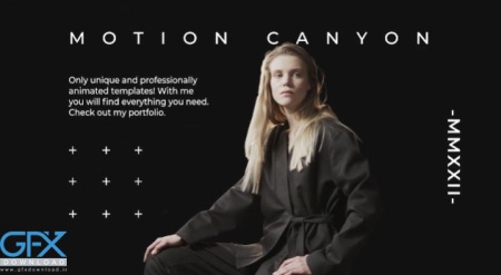 ترانزیشن پریمیر Freeze Frame