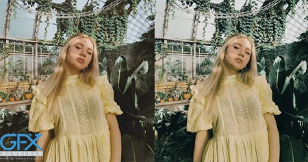 پریست لایت روم Alpine Green + LUTs