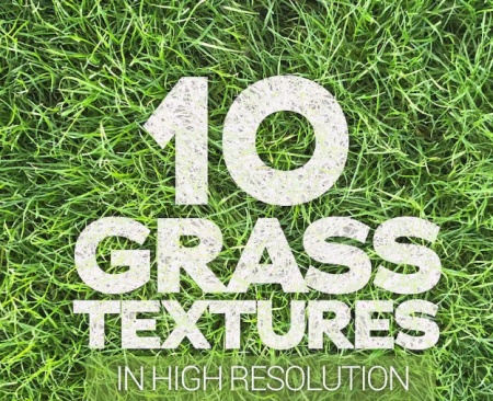 دانلود تکسچر چمن