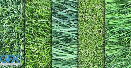 دانلود مجموعه تکسچر چمن